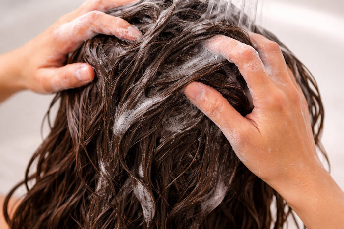 Hands massaging shampoo into long wet brown hair